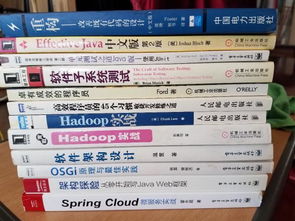 技术资产的双重流通 论IT技术图书与技术转让的协同价值